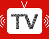 Jadwal Televisi 13-16 April 2013