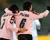 Cavani & Pastore - Palermo (Getty Images)