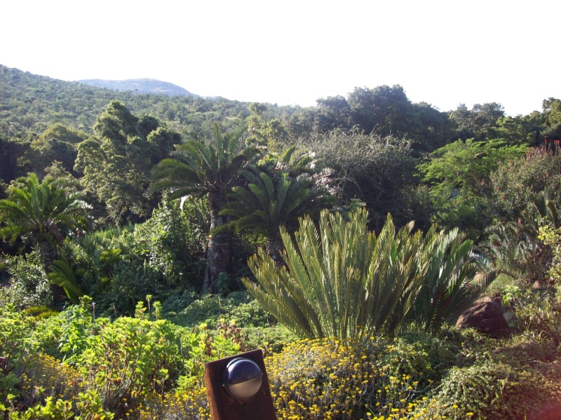 walter sisulu botanical gardens johannesburg