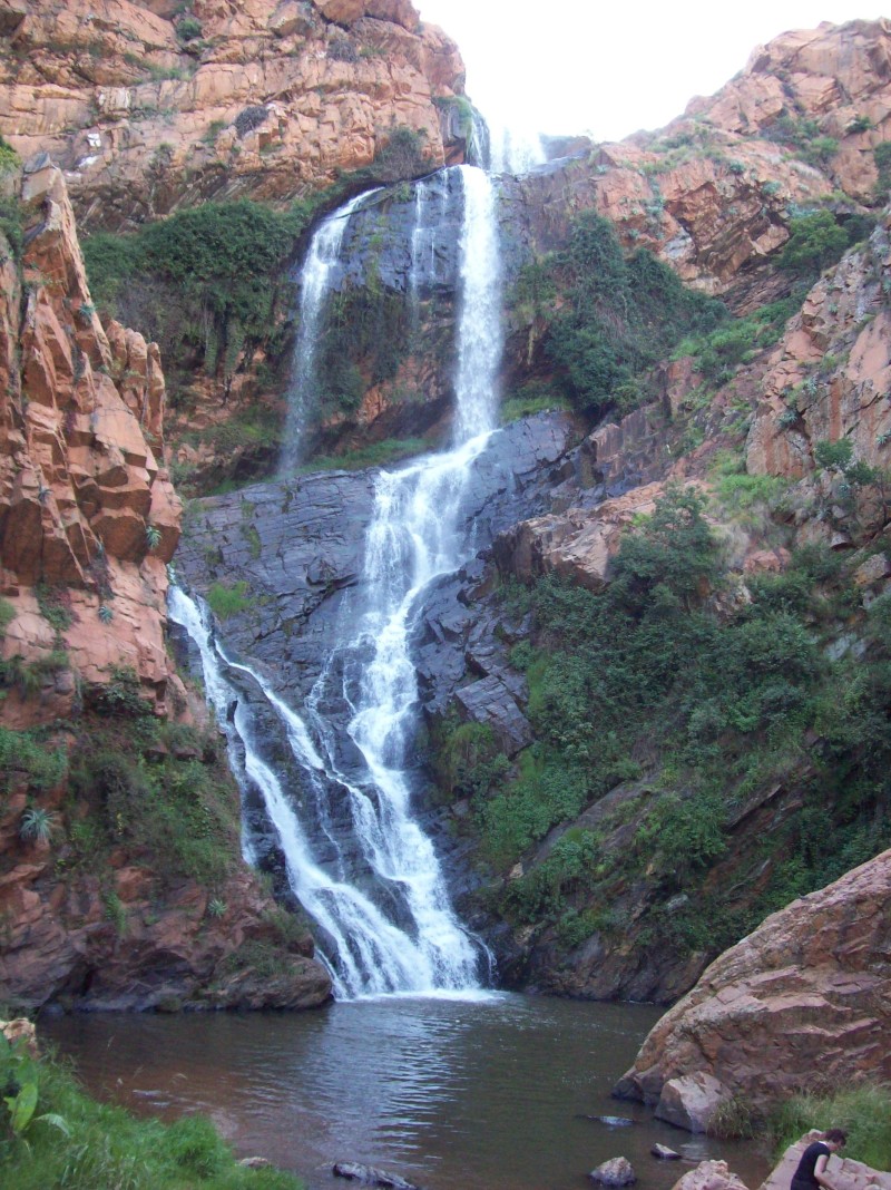 walter sisulu